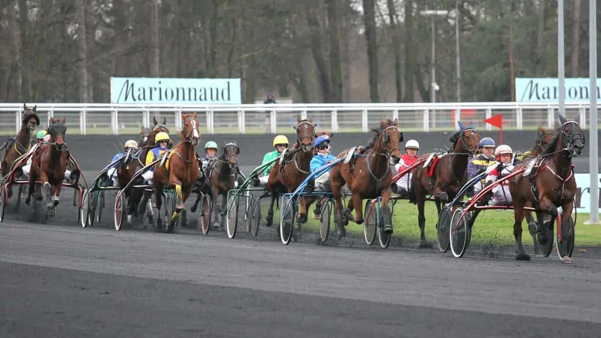 Hippisme Finale 2023