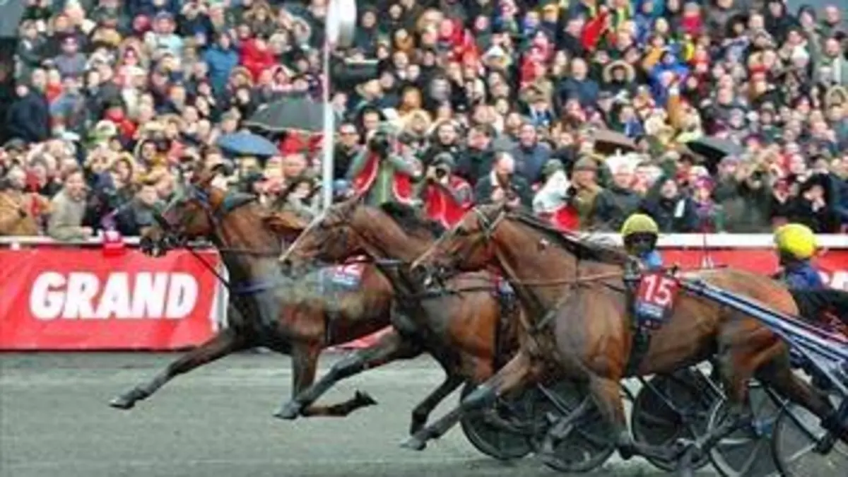 Hippisme Grand Prix d'Amérique 2020