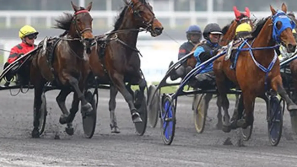 Hippisme Grand Prix de Paris 2016