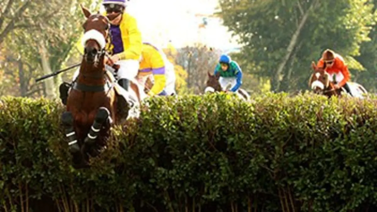 Hippisme Jour de Grand Steeple 2015