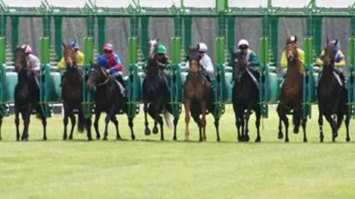 Hippisme Le Qatar Prix de l'Arc de Triomphe
