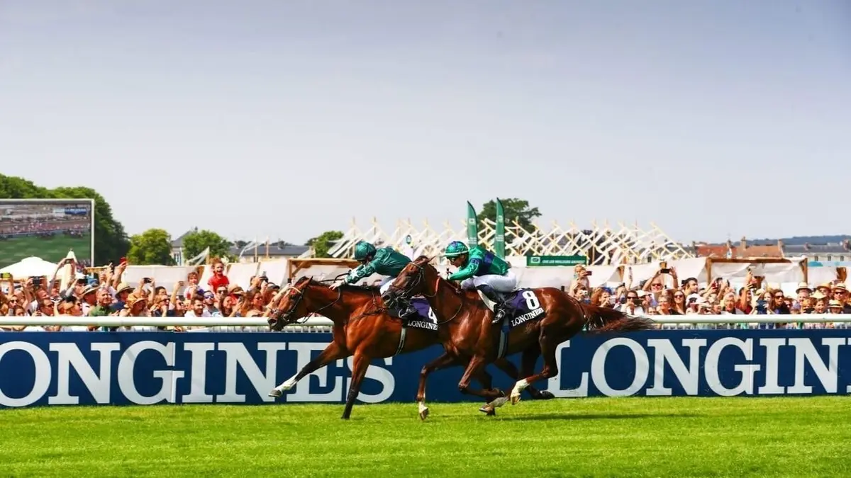 Hippisme Prix de Diane 2025