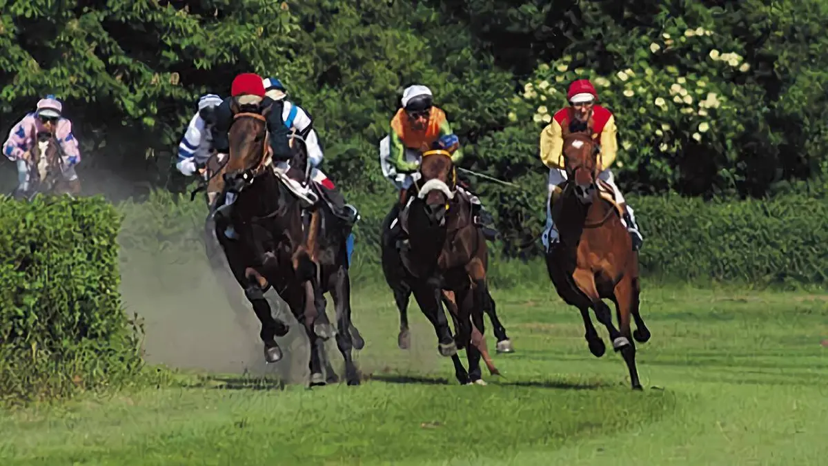 Hippisme Prix de France Speed Race 2021