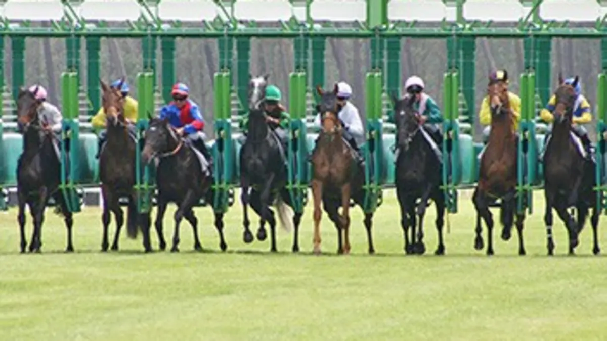 Hippisme Prix de l'Arc de Triomphe 2017