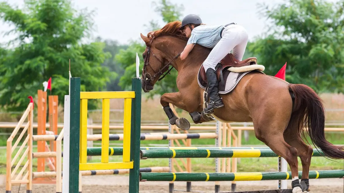 Hippisme Soirée de gala 2019
