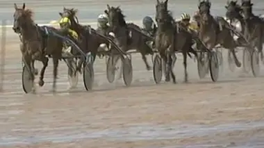 Hippodromes éphémères