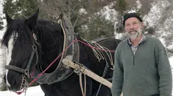 Histoire de la domestication