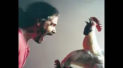 Histoire de la domestication