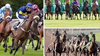 Histoire de parieur Delia Coignot