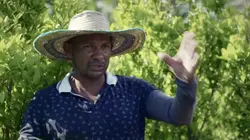 Histoire du trafic de drogues