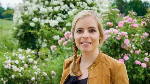 Histoire(s) de jardins Le jardin du moulin