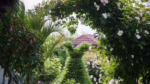 Histoire(s) de jardins Le jardin du chalet