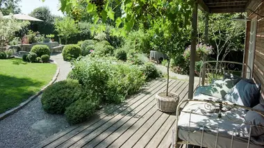 Jardin de roses et de fleurs d'été