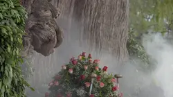 Histoires d'arbres S02E01 Les survivants