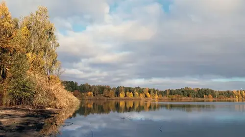 Histoires d'eaux S01E05 La forêt humide de la Spree