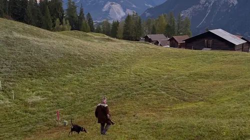 Histoires de chiens suisses Le chien courant