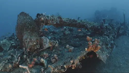 Casting Histoires englouties Les dernières heures de Saint-Pierre
