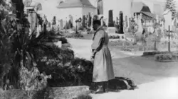 Hitler, décryptage d'un dictateur