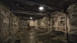 Hitler : les archives du Troisième Reich La solution finale