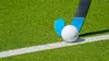 Hockey sur gazon : EuroHockey masculin