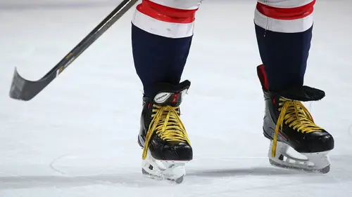 Hockey sur glace : Championnat du monde