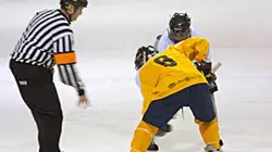 Visuel de St Louis Blues / Dallas Stars