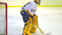 Hockey sur glace Division 1