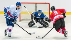 Hockey sur glace Division 1