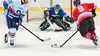 Hockey sur glace NHL 2017