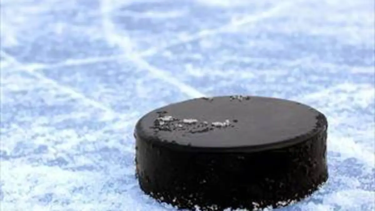 Hockey sur glace NHL 2019/2020