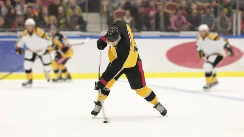 Detroit Red Wings / Florida Panthers Hockey sur glace NHL 2021/2022