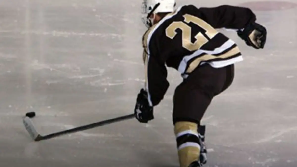 Hockey sur glace NHL All-Star Game 2016