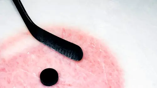 Hockey sur glace : NHL All Star Game