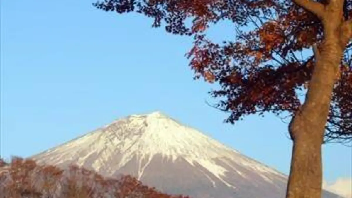Hokusai, le vieil homme et la peinture