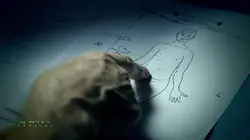 Hollywood Autopsy Marilyn Monroe