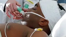 Visuel de Hollywood Autopsy