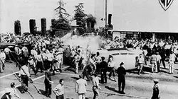 Visuel de Hollywood ne meurt jamais