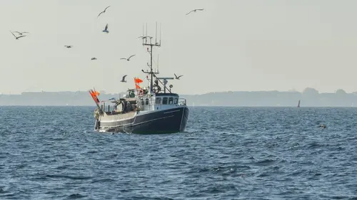 Homards : pêche à haut risque S01E06 Le sprint final