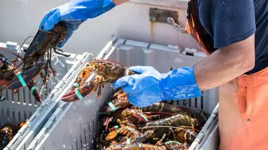 Homards : pêche à haut risque S01E01 Le grand départ
