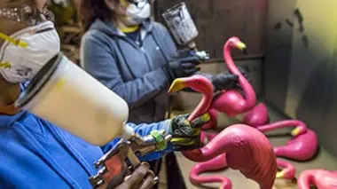 Flamants tout feu, tout flamme