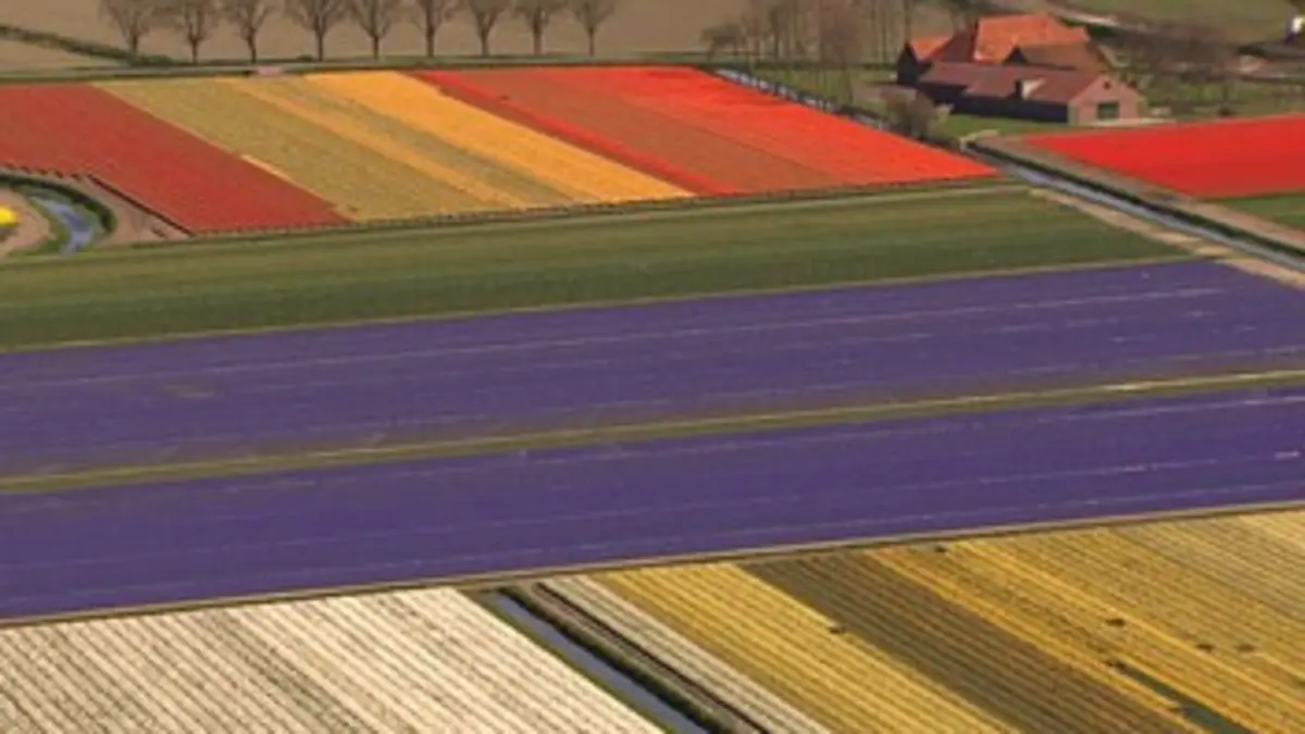 Home, histoire d'un voyage E01