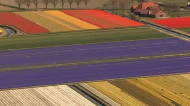 Home, histoire d'un voyage