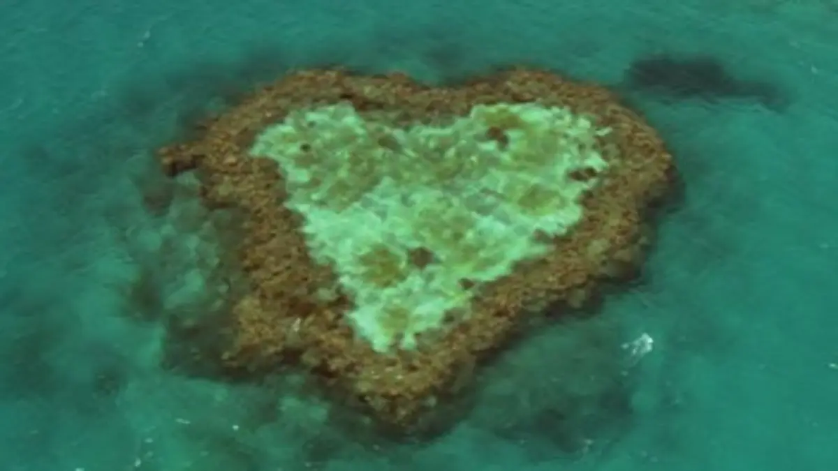 Épisodes de Home, histoire d'un voyage