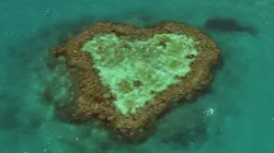 Visuel de Home, histoire d'un voyage