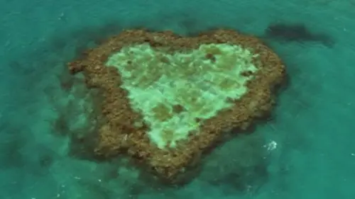 Home, histoire d'un voyage