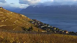 Visuel de Home «Swiss» Home