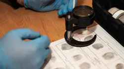 Homicide for the Holidays