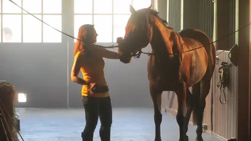 Homicides Scandale à Hunt Country