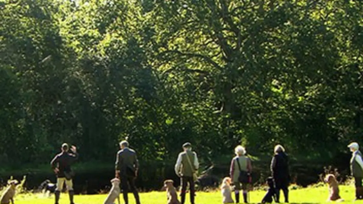 Hommes et chiens, compagnons de chasse