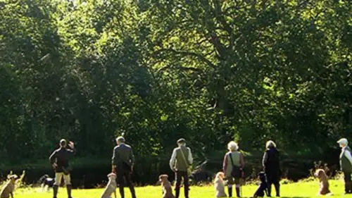 Hommes et chiens, compagnons de chasse